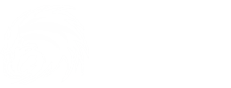 Schalles Group header logo
